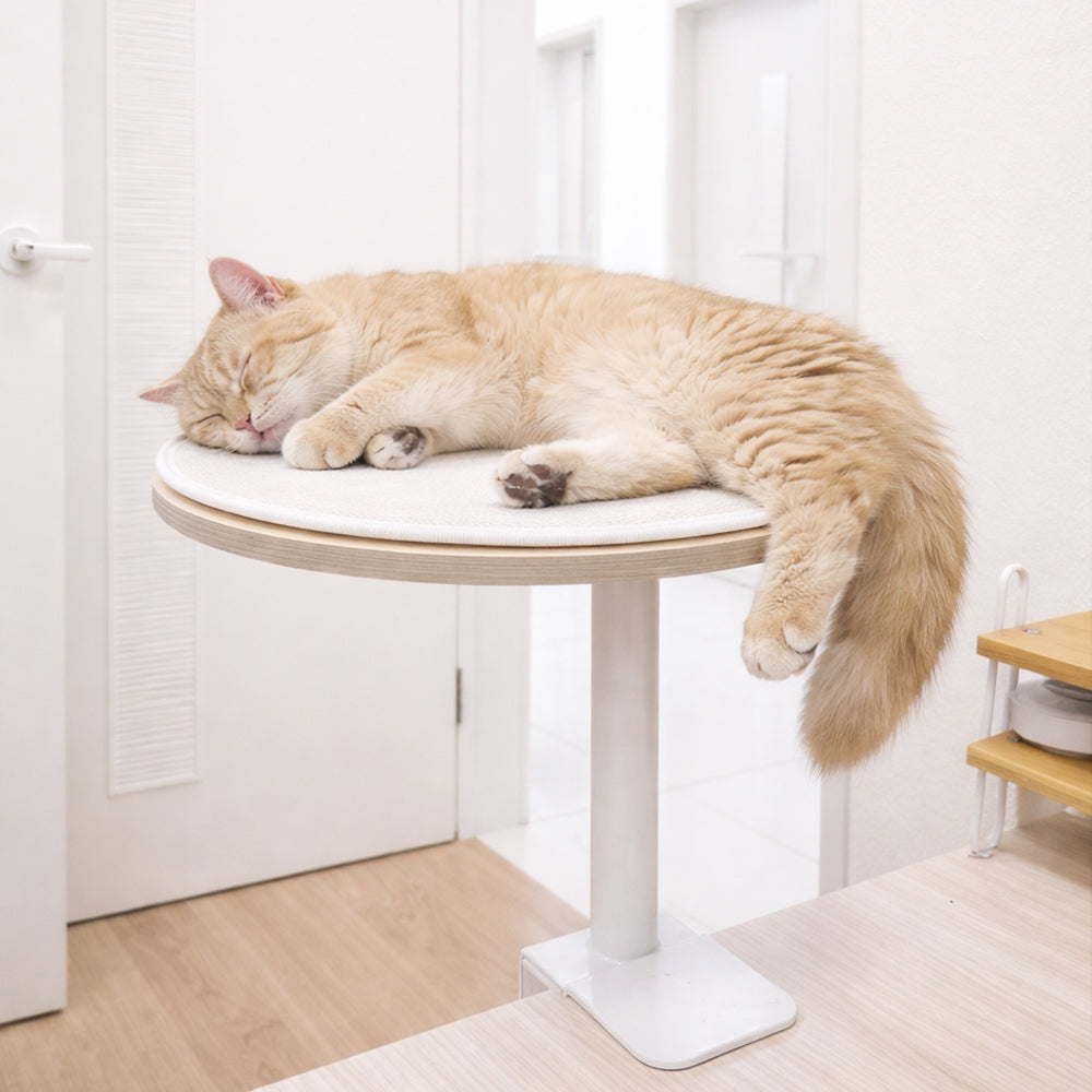 デスクサイド キャットタワー