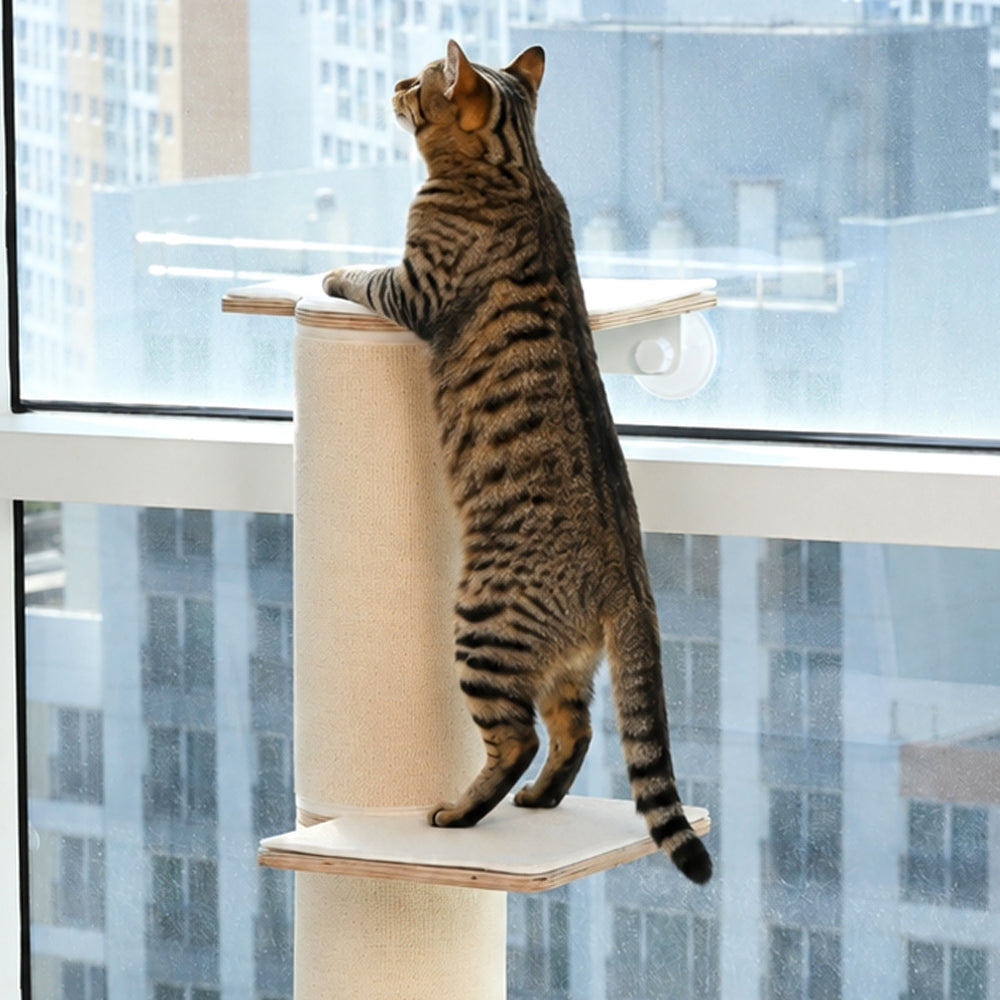 窓用スクラッチキャットタワー